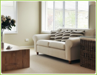 kitchen,oven and carpet cleaning